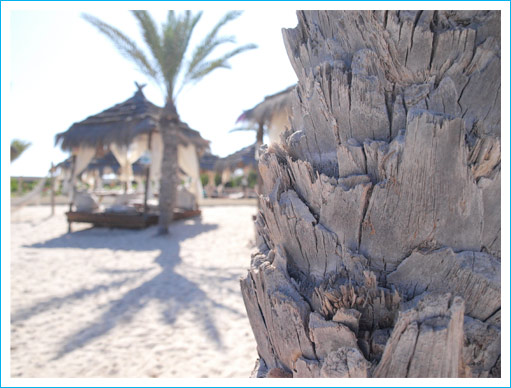 djerba djerba