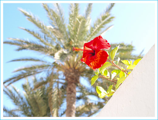 djerba2 djerba2