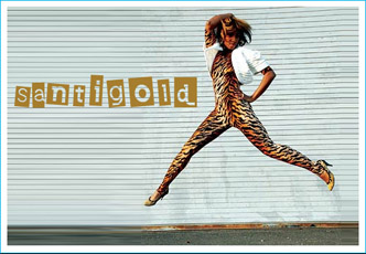 Santigold