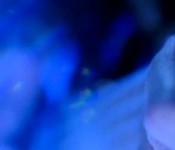 header_badenbaden