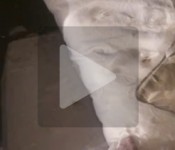 metrnomy_header