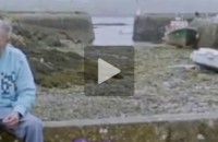 miossec-header