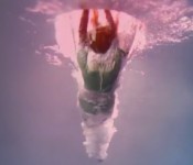 warpaint-header