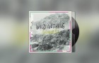 Nouveau single de Wild Nothing : Nowhere