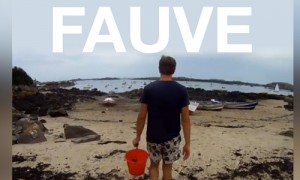 fauve