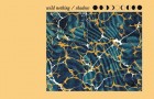 Wild Nothing dévoile Shadow