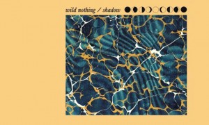 Wild Nothing dévoile Shadow