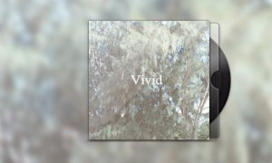 Bedroom - Vivid