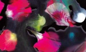 Tamaryn - Tender New Signs