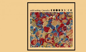 Ecoutez Paradise, nouveau single de Wild Nothing