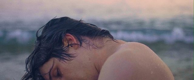 [CLIP] Requin Chagrin – Sémaphore