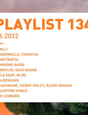 Playlist 134 : Porridge Radio, jennylee, Goldensuns, Leo Leonard, etc.