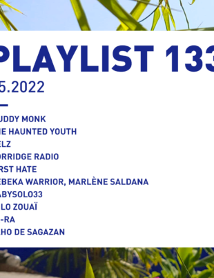 Playlist 133 : Muddy Monk, The Haunted Youth, Lolo Zouaï, First Hate, etc.